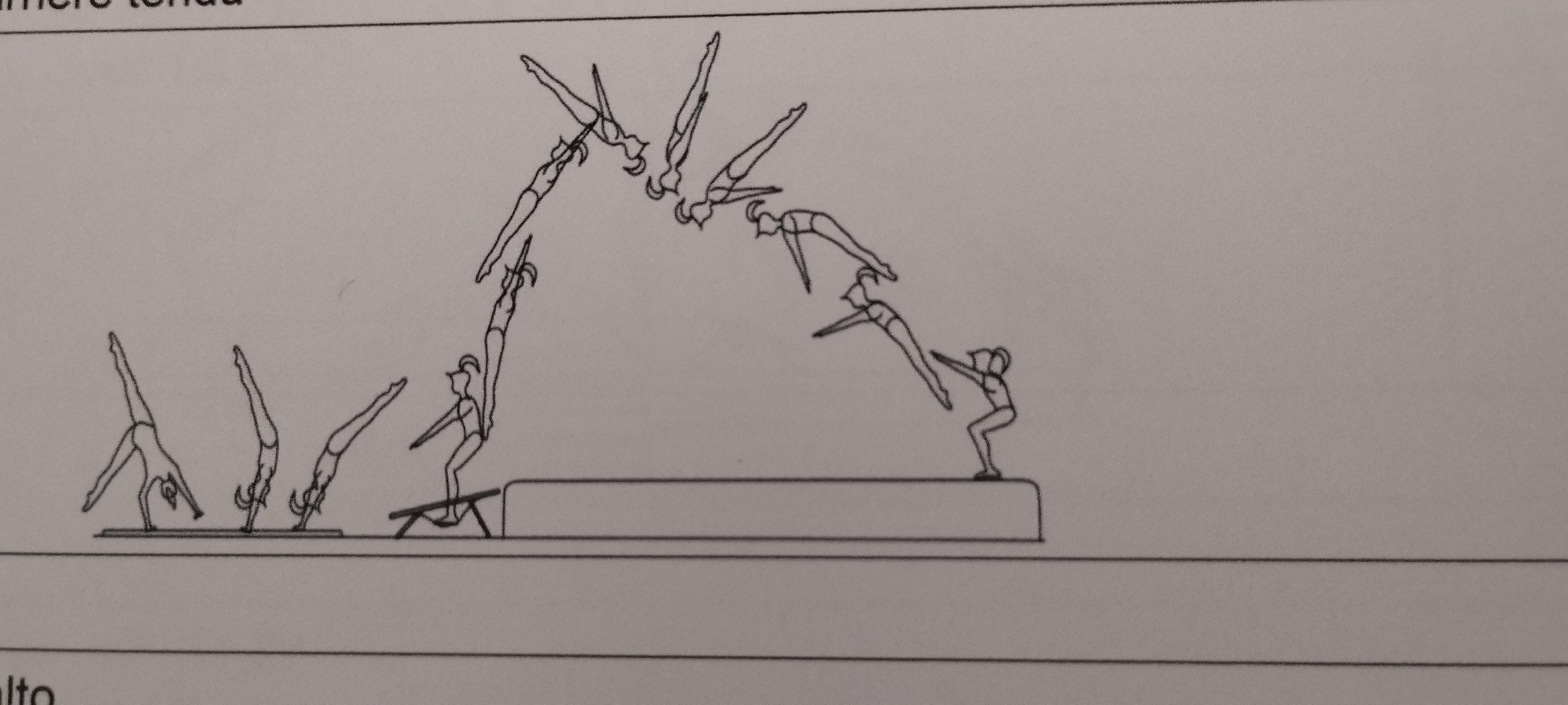 <p>Salto rw. gestr.</p>