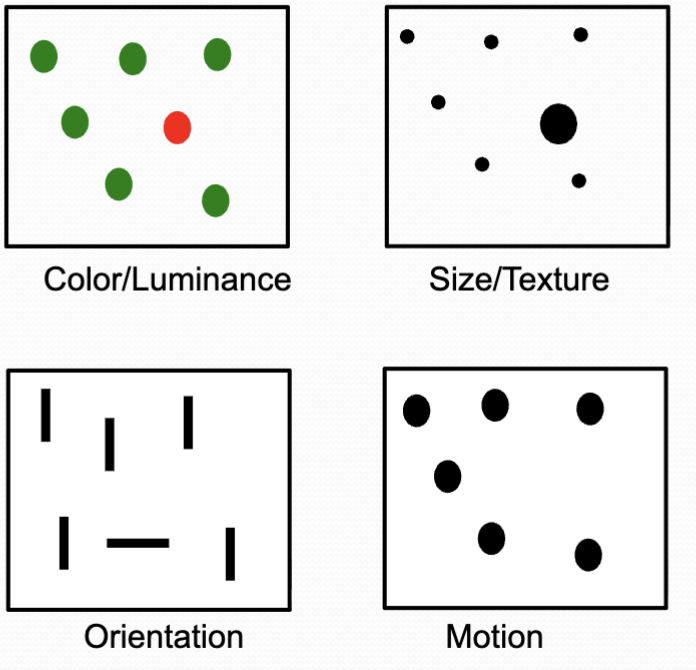 <p>the salience of a stimuli - what captures our attention</p><ul><li><p>Regions of colour contrast or luminance contrast</p></li><li><p>Regions of size contrast</p></li><li><p>Regions orientation contrast</p></li><li><p>Regions of motion/flicker contrast</p></li></ul><p></p>
