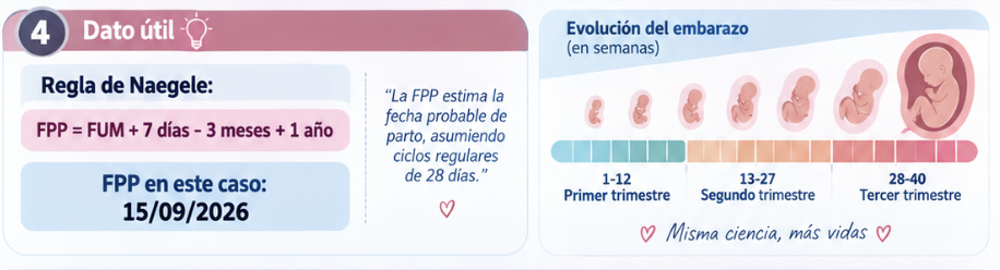 <p>15 de septiembre de 2026.</p>