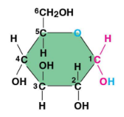 <p>What molecule is this?</p>