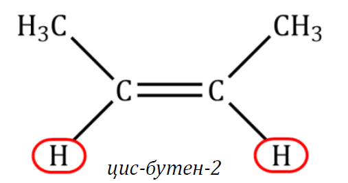 <p>C4H8</p>