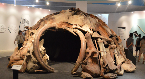 <p>What is this?</p>