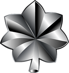 <p>Army/Marine Corps/Air Force/Space Force: O-5</p>
