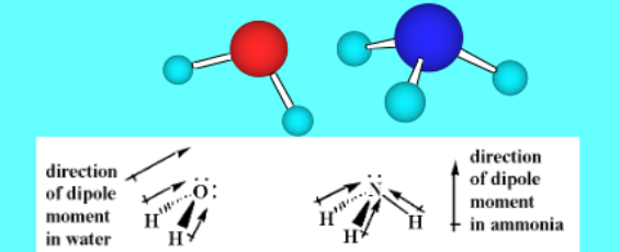 <p>All of the compounds have a dipole moment of _____</p>