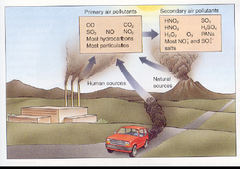 <p>Pollutants that do harm directly; like coal soot and CO</p>