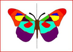 <p>having the same shape, size, and position on both sides of a dividing line</p>
