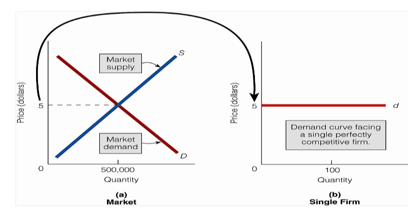 <ul><li><p class="Paragraph SCXO37010080 BCX0" style="text-align: left;"><span style="background-color: inherit; line-height: 20.7px; color: windowtext;">The market, composed of all buyers and sellers, establishes the equilibrium price (a)</span><span style="line-height: 20.7px; color: windowtext;">&nbsp;</span></p></li><li><p class="Paragraph SCXO37010080 BCX0" style="text-align: left;"><span style="background-color: inherit; line-height: 20.7px; color: windowtext;">A single perfectly competitive firm then faces a horizontal (flat, perfectly elastic) demand curve</span><span style="line-height: 20.7px; color: windowtext;">&nbsp;</span></p></li></ul><p></p>