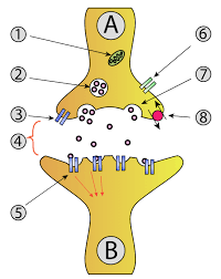 <p>2</p>