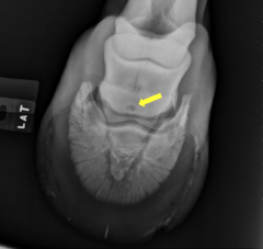 <p>what is seen here</p>