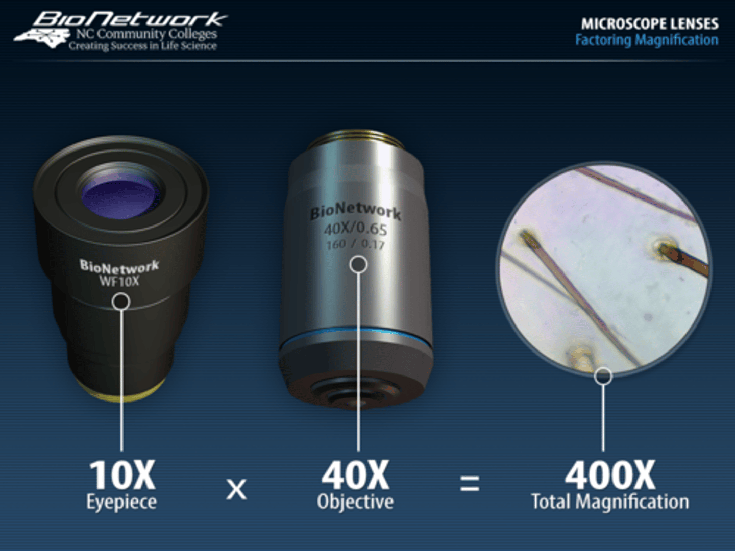 <p>Power of the microscope on high power</p>