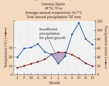 <p>seasonal (mild) temperatures and seasonal precipitation biome found between 30-50 degrees with warm, dry summers and cold-ish wet winters, dominated by an open canopy of short evergreen trees and shrubs</p>