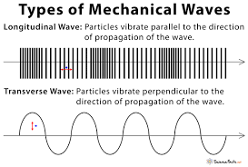 <p><span>mechanical waves</span></p>