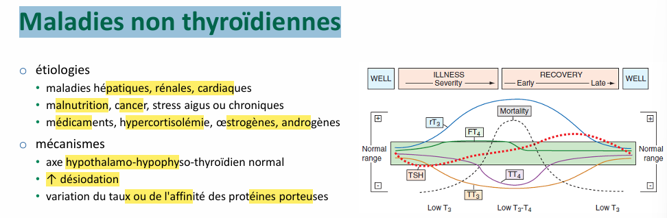 <p>perturbation des tests thyroïdiens mais on est pas vrmt censé réagir </p><p>Li et amiodarone altère (nhibition Σ(organification) ou libération hormones) diminue T4-3 et aug TSH</p>