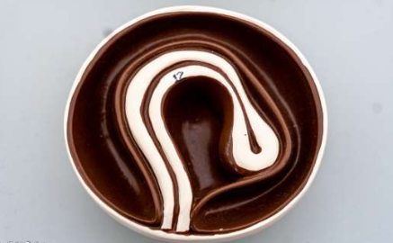 <p>Identify the Phylum &amp; name</p>