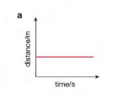 <p>Observe this graph (d-t)</p>
