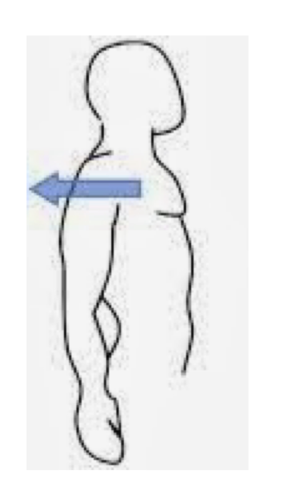 <p>name the muscle action</p>