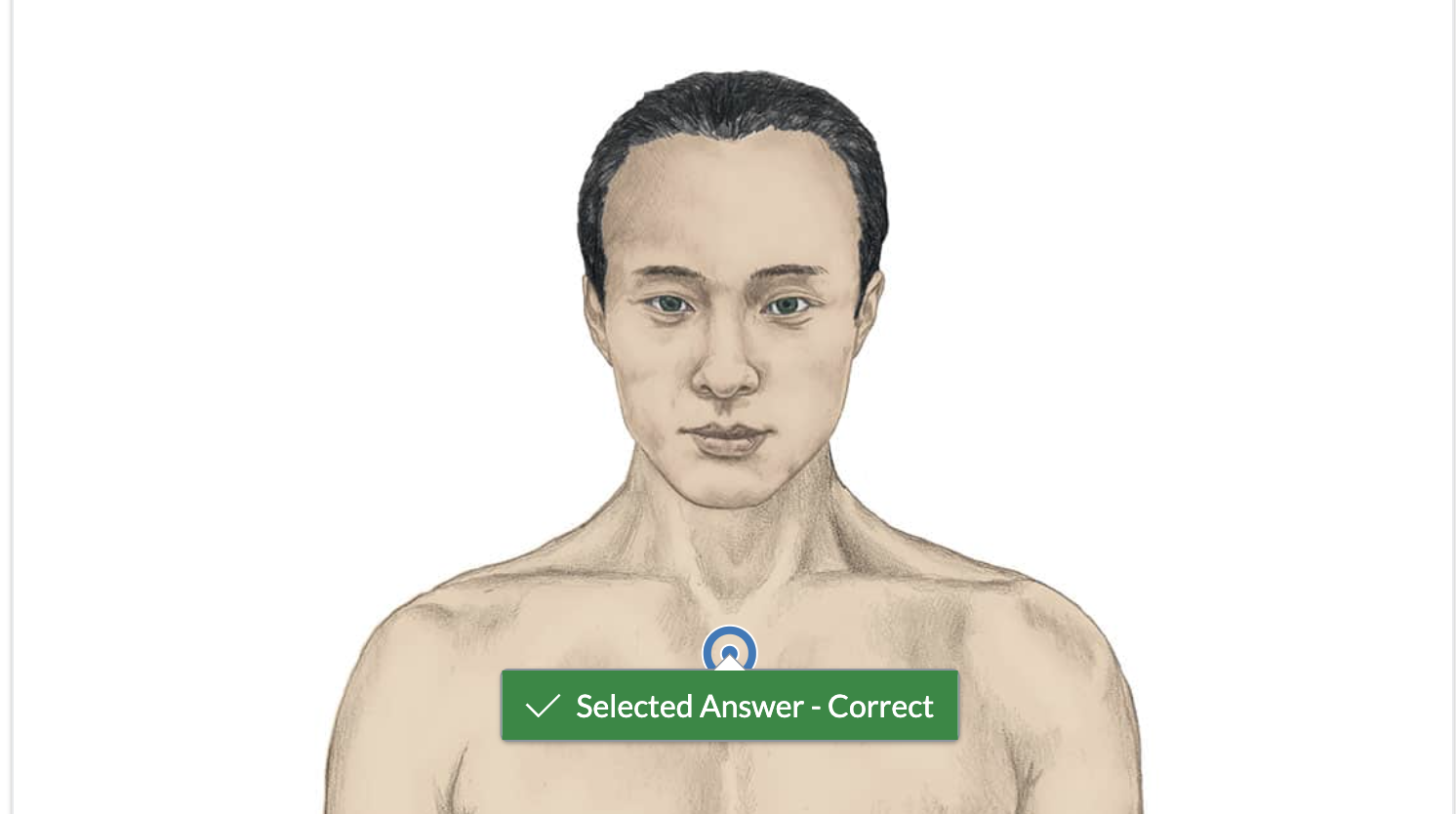 <p>Using <span>hot spot technology mark the region where the manubrium is located.</span></p>