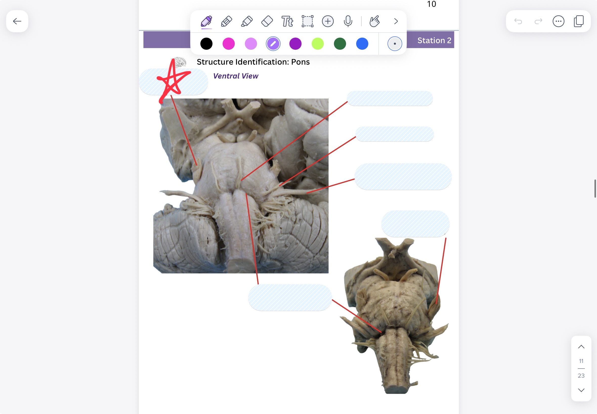 knowt flashcard image