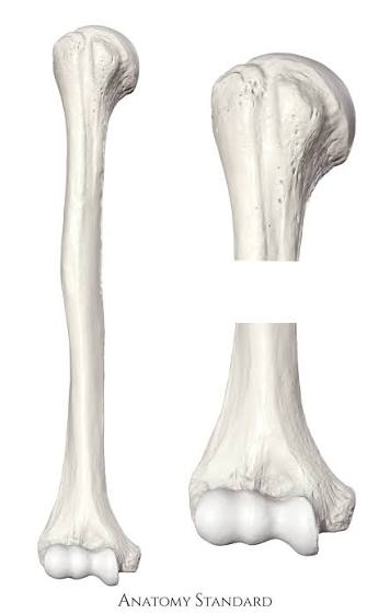 <p>Structure</p>