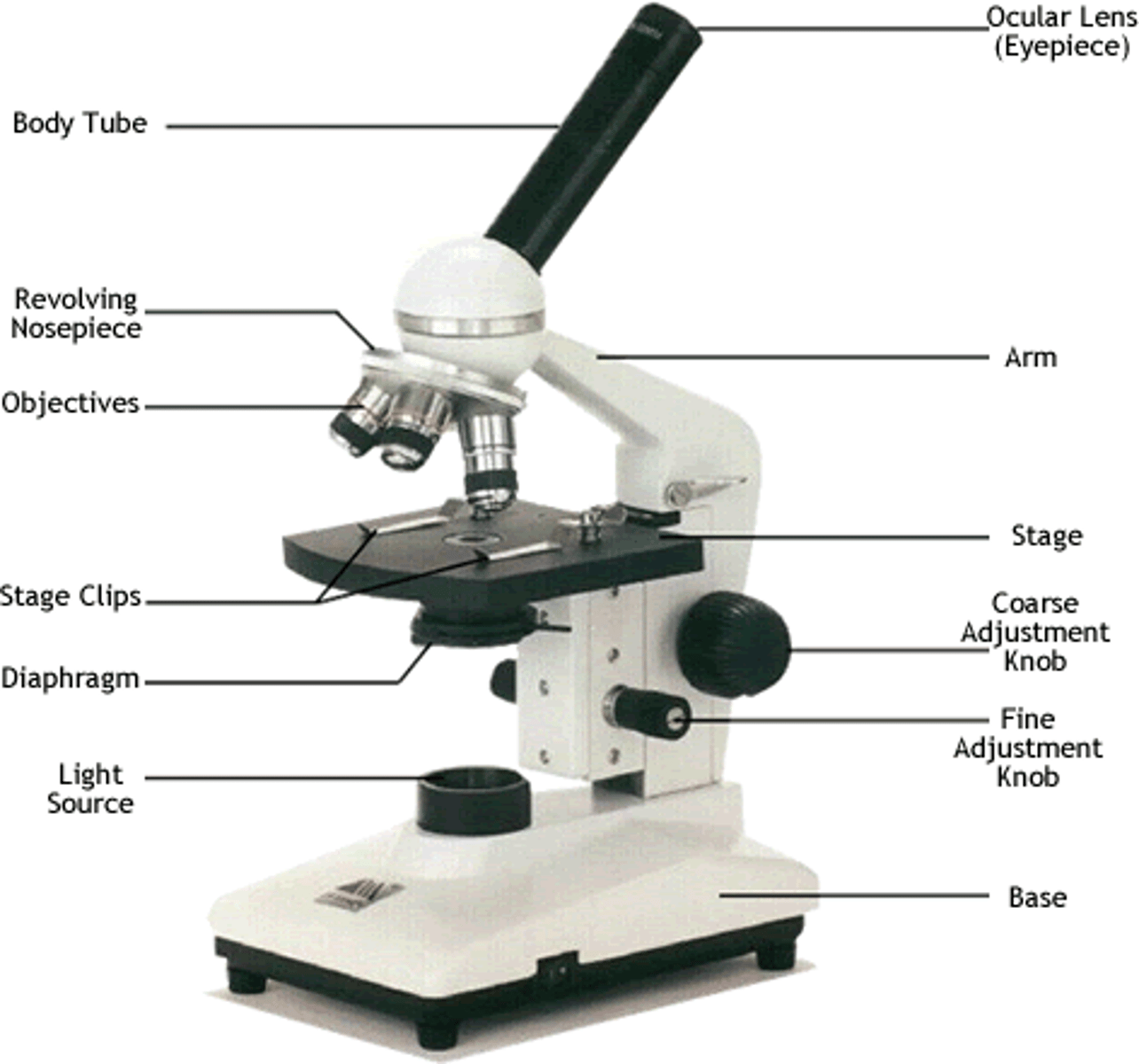 <p>ocular, objective</p>