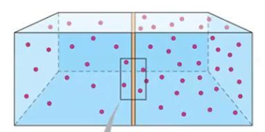 <p>Which way does water go?</p>