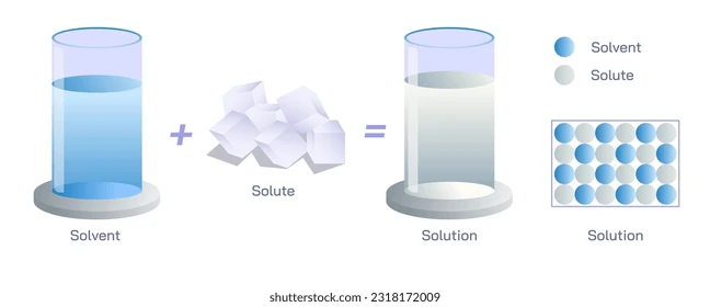 <p>Solution</p>