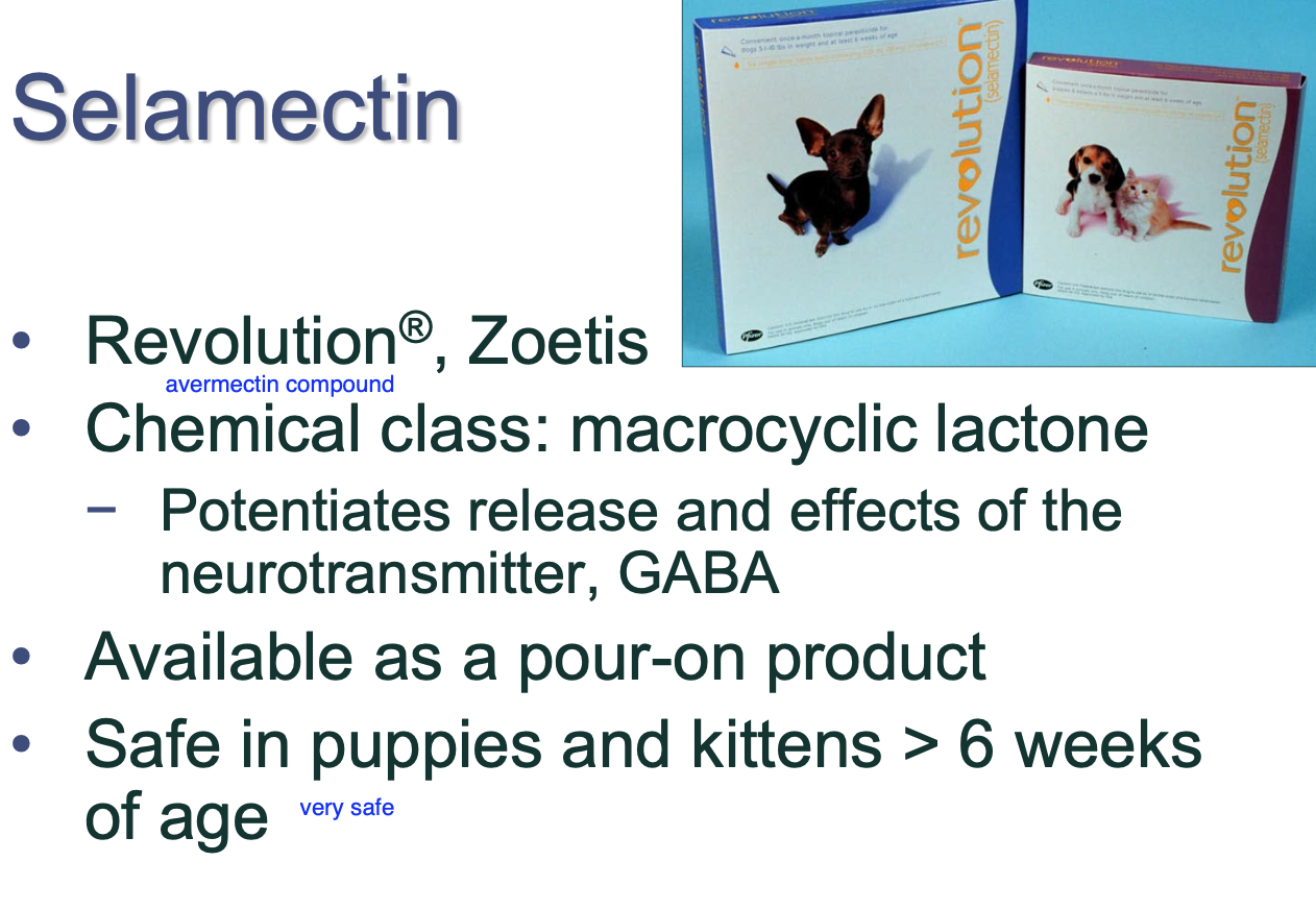 <p>macrocyclic lactone (don't need to know specifics)</p>