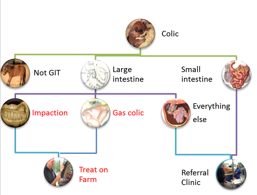 <p>Abdominal Palpation Per Rectum</p>