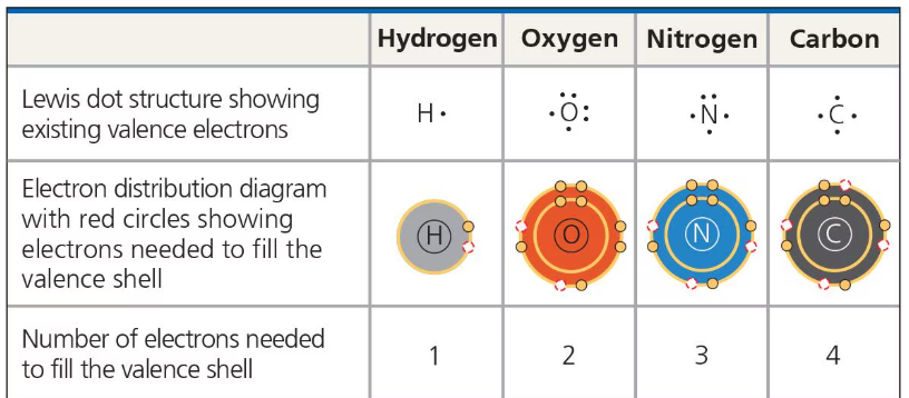 <p>the number of covalent bonds an atom can form</p><ul><li><p>Generally <strong>equal</strong> to the number of e<sup>-</sup> required to fill an atom’s outermost shell</p></li></ul><p></p>