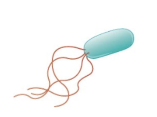 <p>Name?</p>