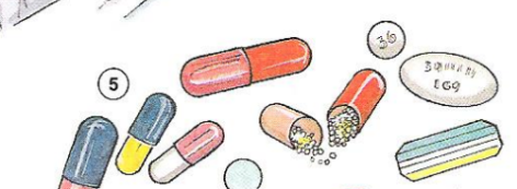 <p>capsule </p>