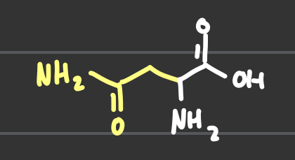<p>Asp, N</p>