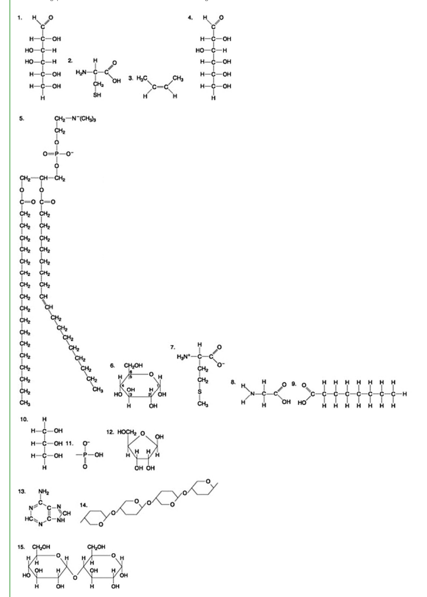 <p>Which of the following molecules is a disaccharide?</p><p> </p><p>6</p><p> </p><p>3</p><p> </p><p>1 and 4</p><p> </p><p>15</p>