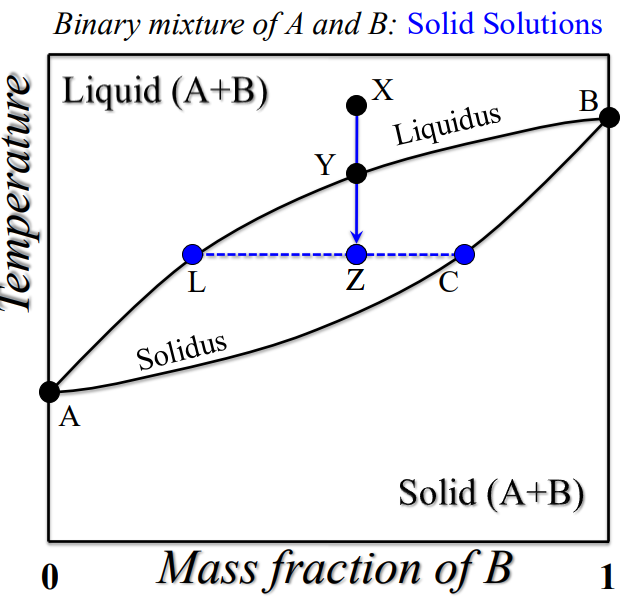 <p><strong>IMPORTANT</strong></p><p>What does Y, A, B, A, C,Z mean</p><p>How do you find the mass proportions?</p>