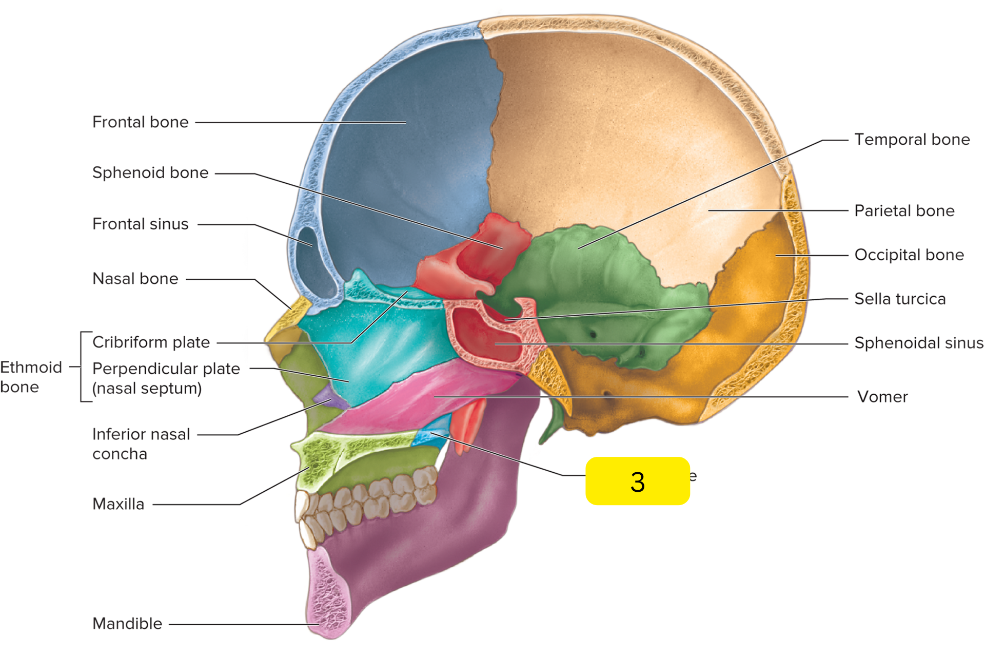 <p>What is #3?</p>