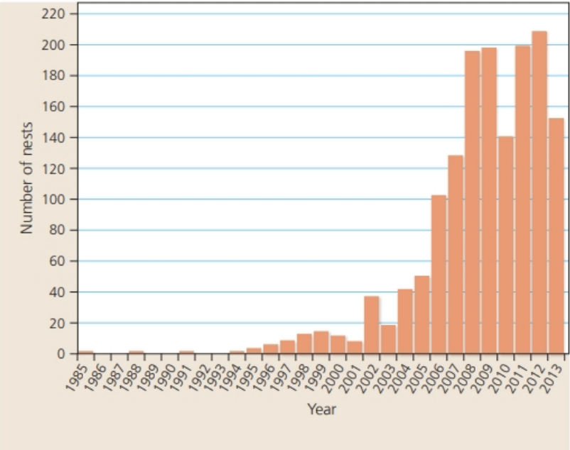 <p>The Kemp's ridley sea turtle (Lepidochelys kempii) is a critically endangered species. The graph presents the number of Kemp's ridley sea turtle nests found in the Padre Island National Seashore in Texas over a span of years. Write a one-sentence summary of the results presented in the graph.</p>