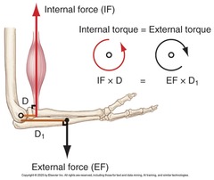 <p>an external force (in the picture is gravity) that is coupled with the external moment arm creates a torque or a moment</p>