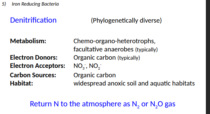<p>N2 or N2O gas</p>