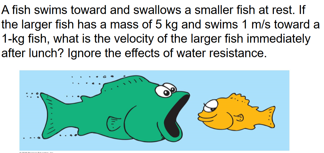 <p>fish example: elastic or inelastic?</p>