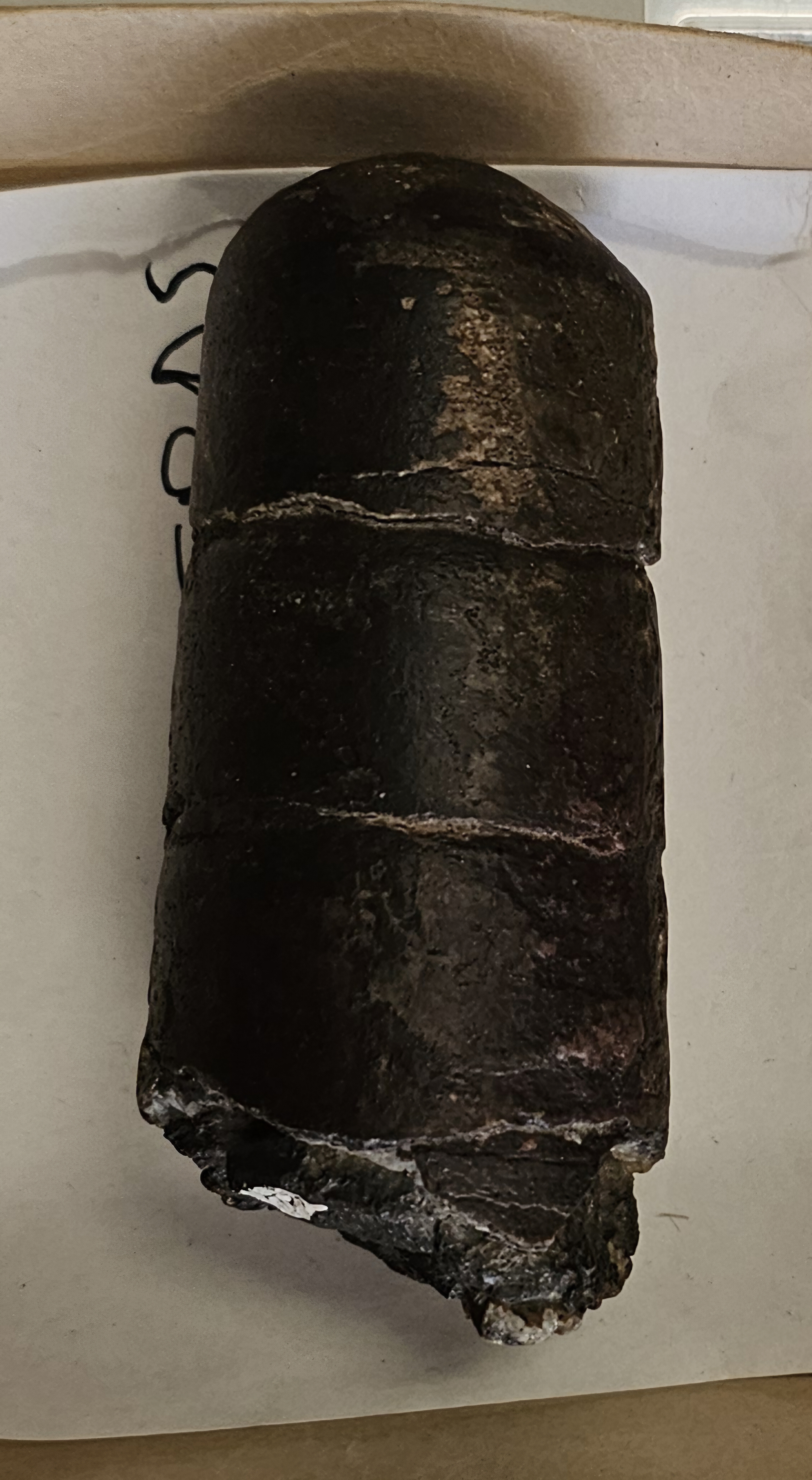 knowt flashcard image