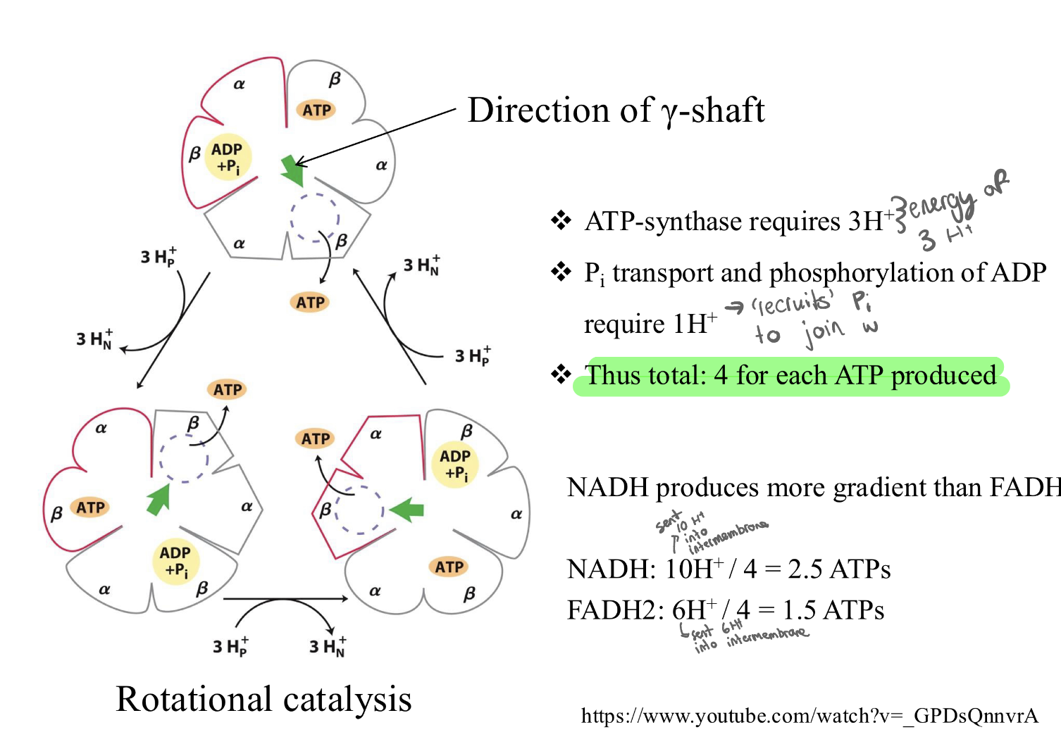 knowt flashcard image