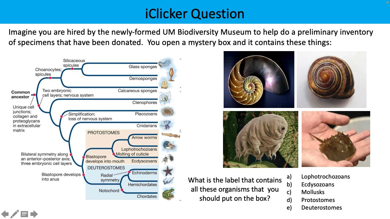 <p>Imagine you are hired by the newly-formed UM Biodiversity Museum to help do a preliminary inventory of specimens that have been donated. You open a mystery box and it contains these things. What is the label that contains all these organisms that you should put on the box?</p>