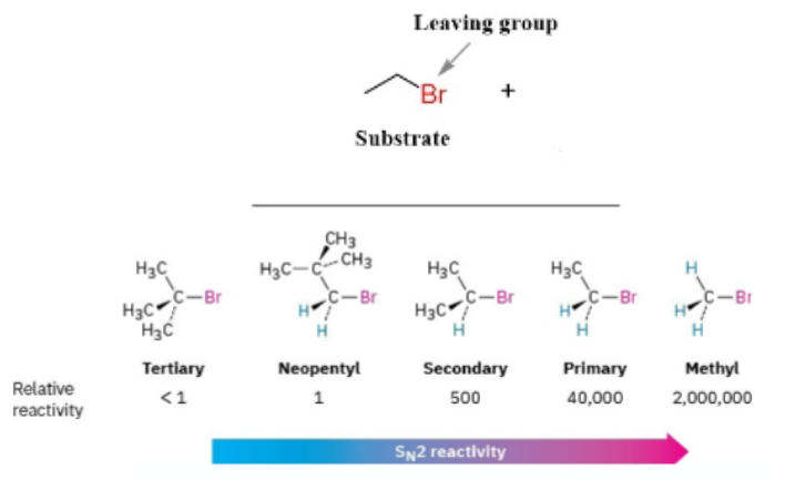 <p>the organic molecule undergoing the reaction (the alkyl halide containing the leaving group).</p><p><strong>The less the degree of a Carbon, the easier it is to attack for SN2</strong></p><p>How crowded is the carbon? Less crowded —> Easier attack</p>