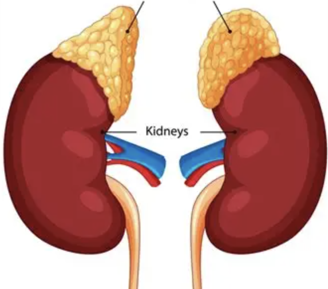 <p>What is the top arrow pointing to?</p>