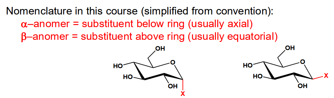 <p>Which of these would you expect to be preferentially formed</p>