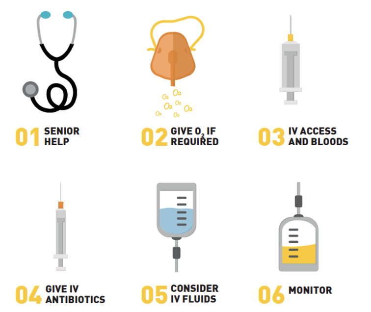 <p><span>GIVE 3</span></p><ul><li><p style="text-align: left;"><span>Oxygen</span></p></li><li><p style="text-align: left;"><span>Antibiotics</span></p></li><li><p style="text-align: left;"><span>Fluids</span></p></li></ul><p style="text-align: left;"><span>TAKE 3</span></p><ul><li><p style="text-align: left;"><span>Blood cultures</span></p></li><li><p style="text-align: left;"><span>Serum lactate</span></p></li><li><p style="text-align: left;"><span>Urine output</span></p></li></ul><p></p>