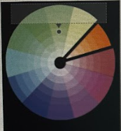 <p><span>What is this color wheel?</span></p>