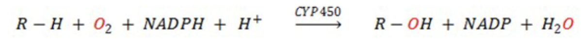 <p><span>are the most common. These enzymes are hemoproteins (i.e. they contain</span><br><span>heme and iron) and involve molecular oxygen (O2). CYP450 enzymes belong to a class of enzymes known as monooxygenases, also called mixed function oxidases.</span></p>