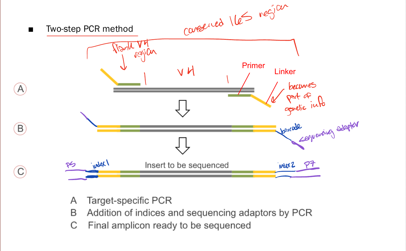 <p>Library Preparation</p>