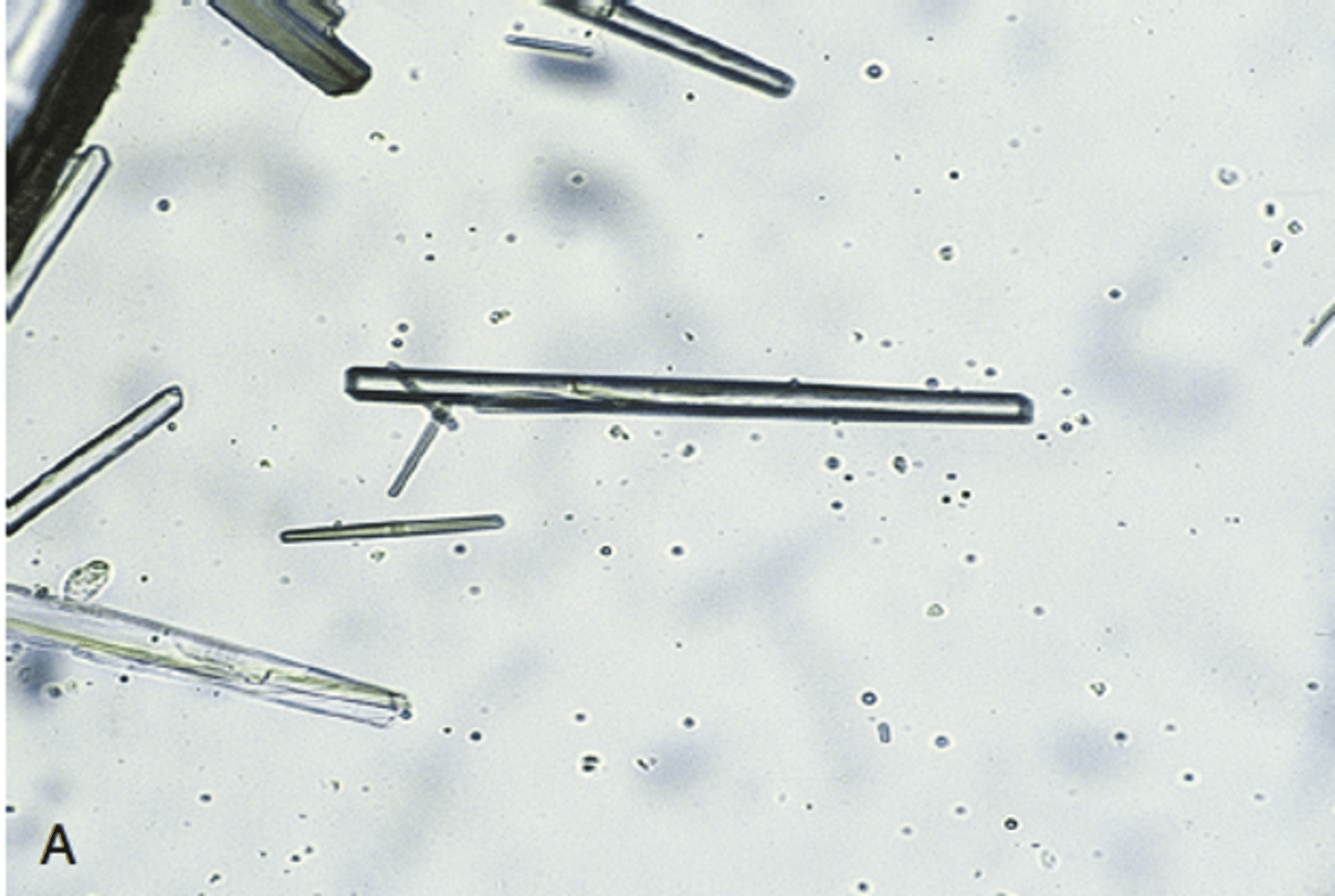 <p>pH <7.5</p>